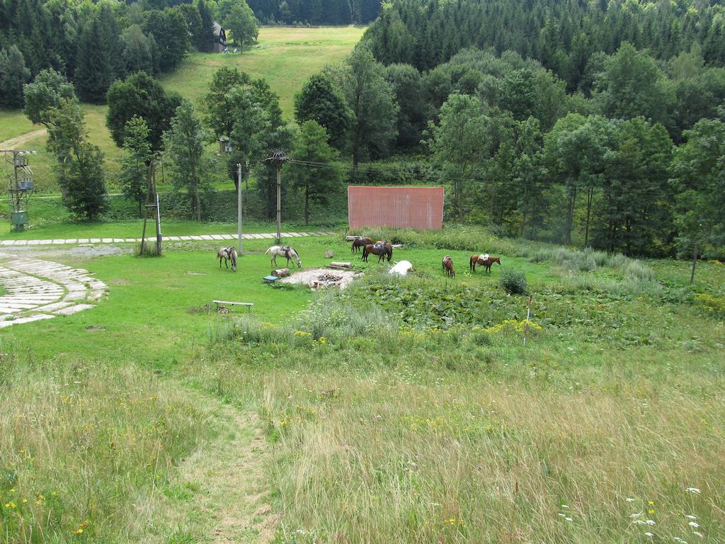 Horska Bouda Cihalka 2* Olesnice v Orlickych horach